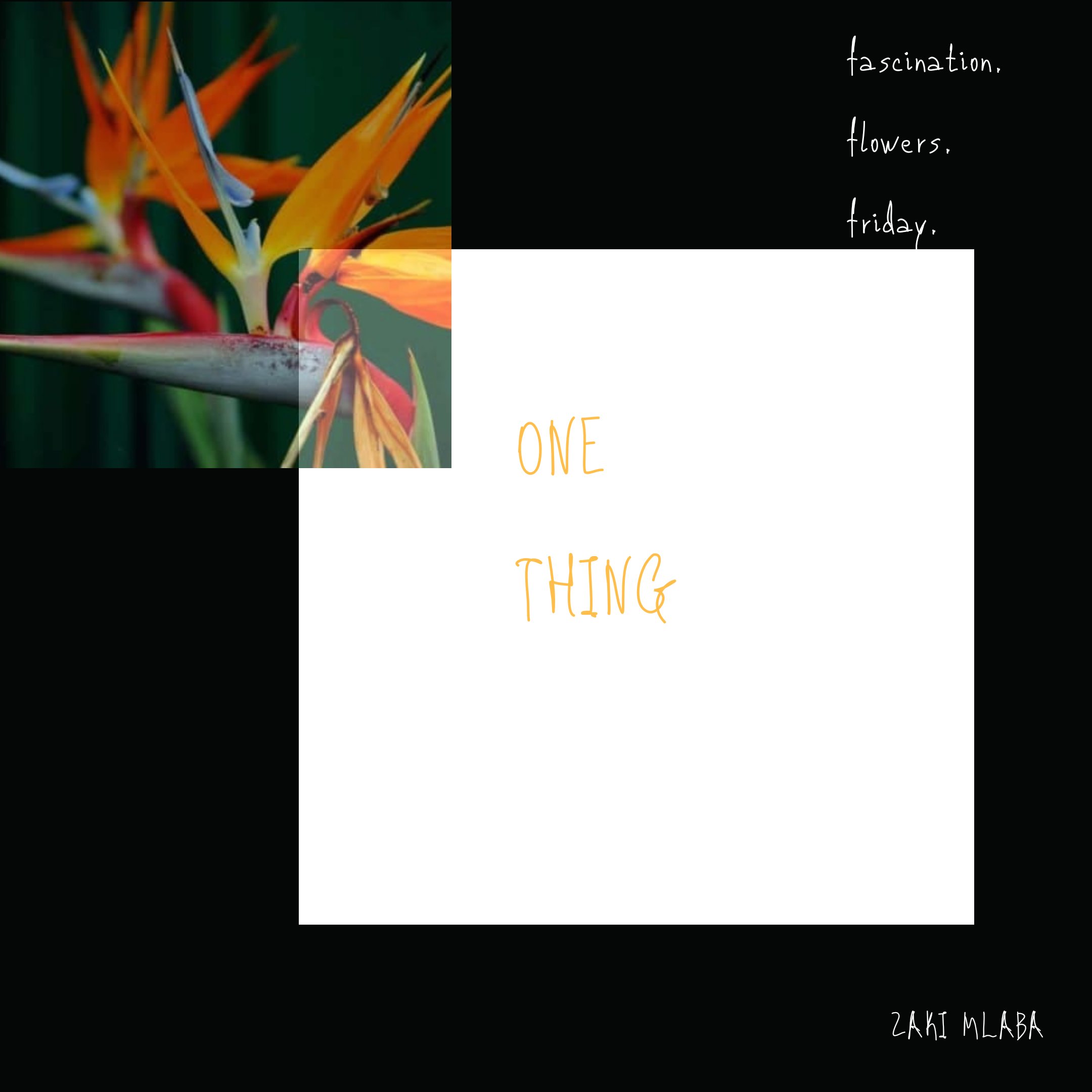One Thing