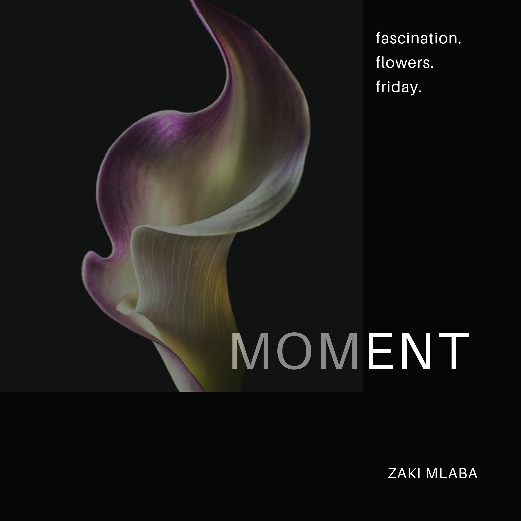 Moment